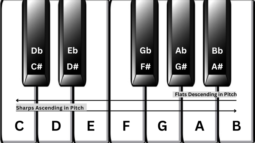 An octave on a piano keyboard showing the notes.