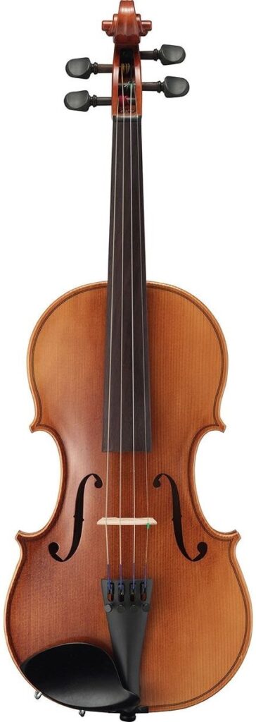 A violin.