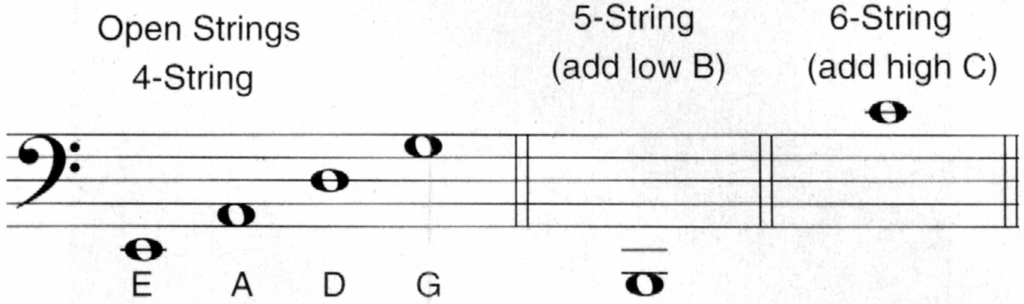 Musical notation showing a bass clef staff and the notes corresponding to open strings on basses.