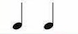 Musical notatation showing two quarter notes.