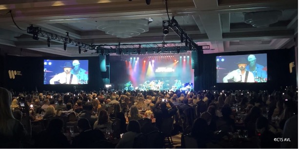 musician on stage at a concert