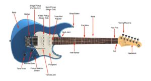A diagram showing the main parts of an electric guitar.