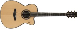 An acoustic guitar.