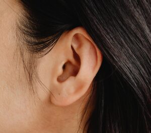 close up of an ear