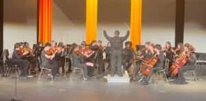 orchestra on stage during concert 