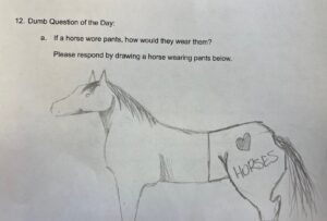 Dumb Question of the Day sheet with pencil drawing of a horse